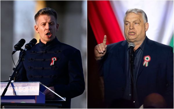 ������ ��� ���������������� �����: ��� ������� � ������� 12 ������